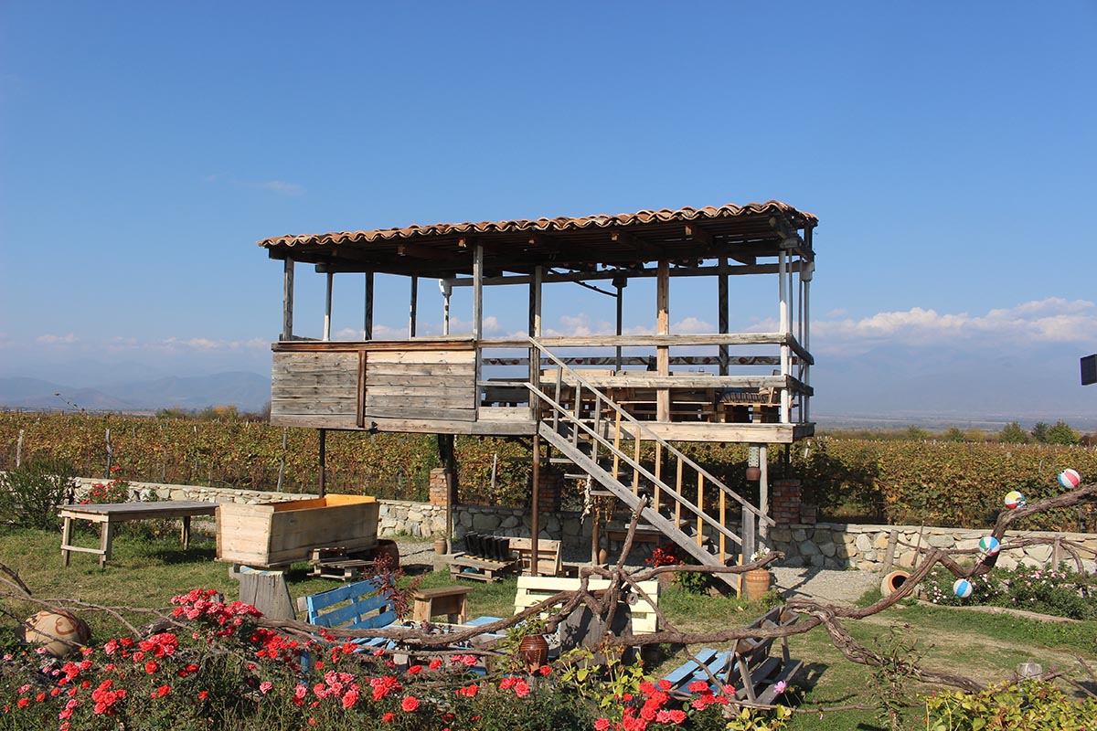 Kakheti wine region with its vines and wines.