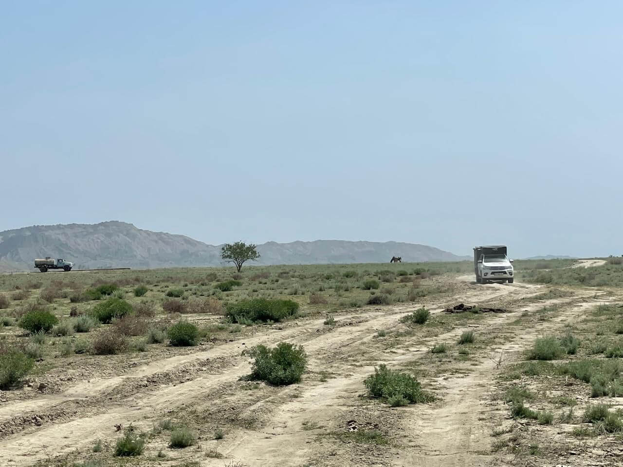 Vashlovani National Park: What to do & see